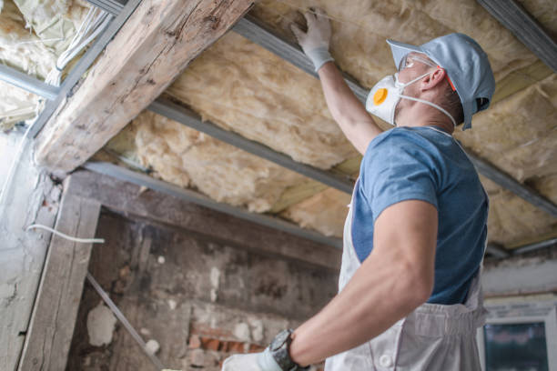 Best Eco-Friendly Insulation in Ossian, IN