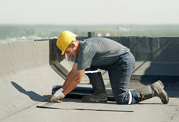 Best Cellulose Insulation in Ossian, IN