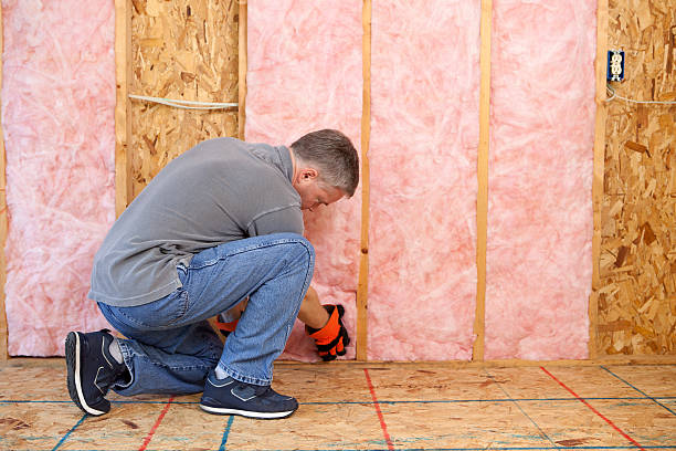 Best Geographic-Specific Insulation Services in Ossian, IN