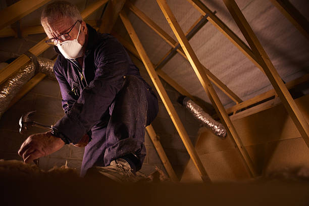 Best Residential Insulation in Ossian, IN